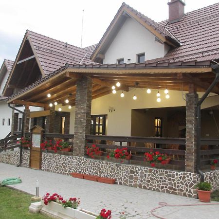 Nut House Retezat Otel Nucsoara  Dış mekan fotoğraf