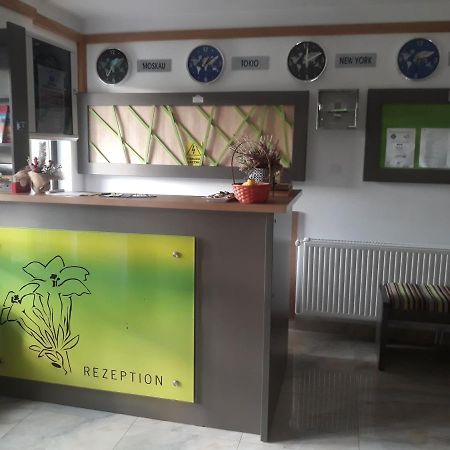 Nut House Retezat Otel Nucsoara  Dış mekan fotoğraf