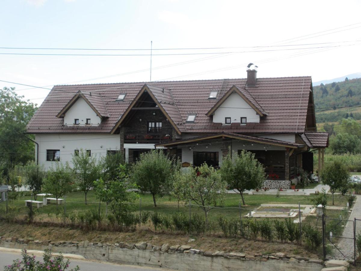 Nut House Retezat Otel Nucsoara  Dış mekan fotoğraf