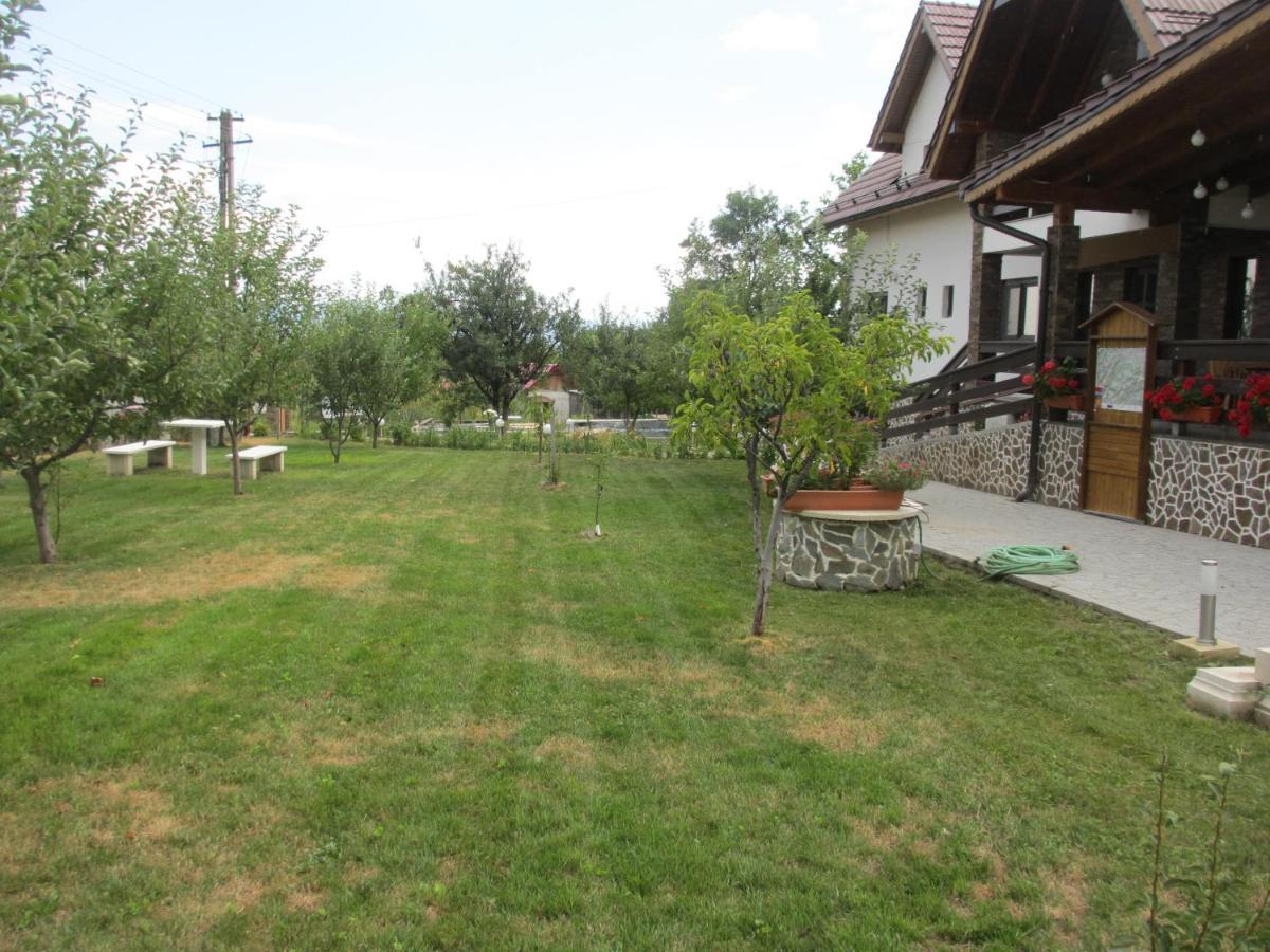 Nut House Retezat Otel Nucsoara  Dış mekan fotoğraf