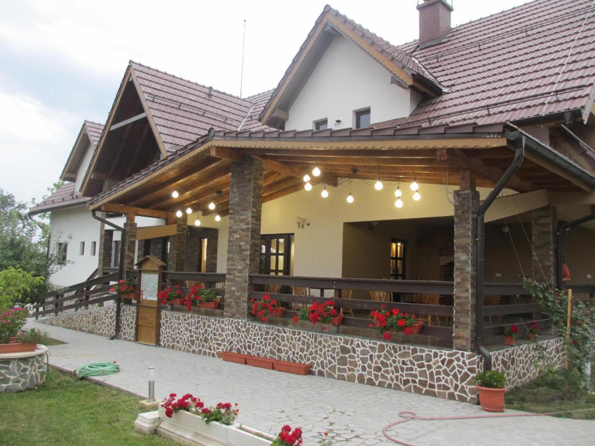 Nut House Retezat Otel Nucsoara  Dış mekan fotoğraf