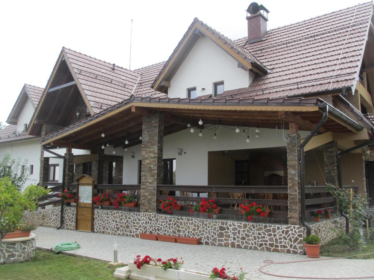 Nut House Retezat Otel Nucsoara  Dış mekan fotoğraf