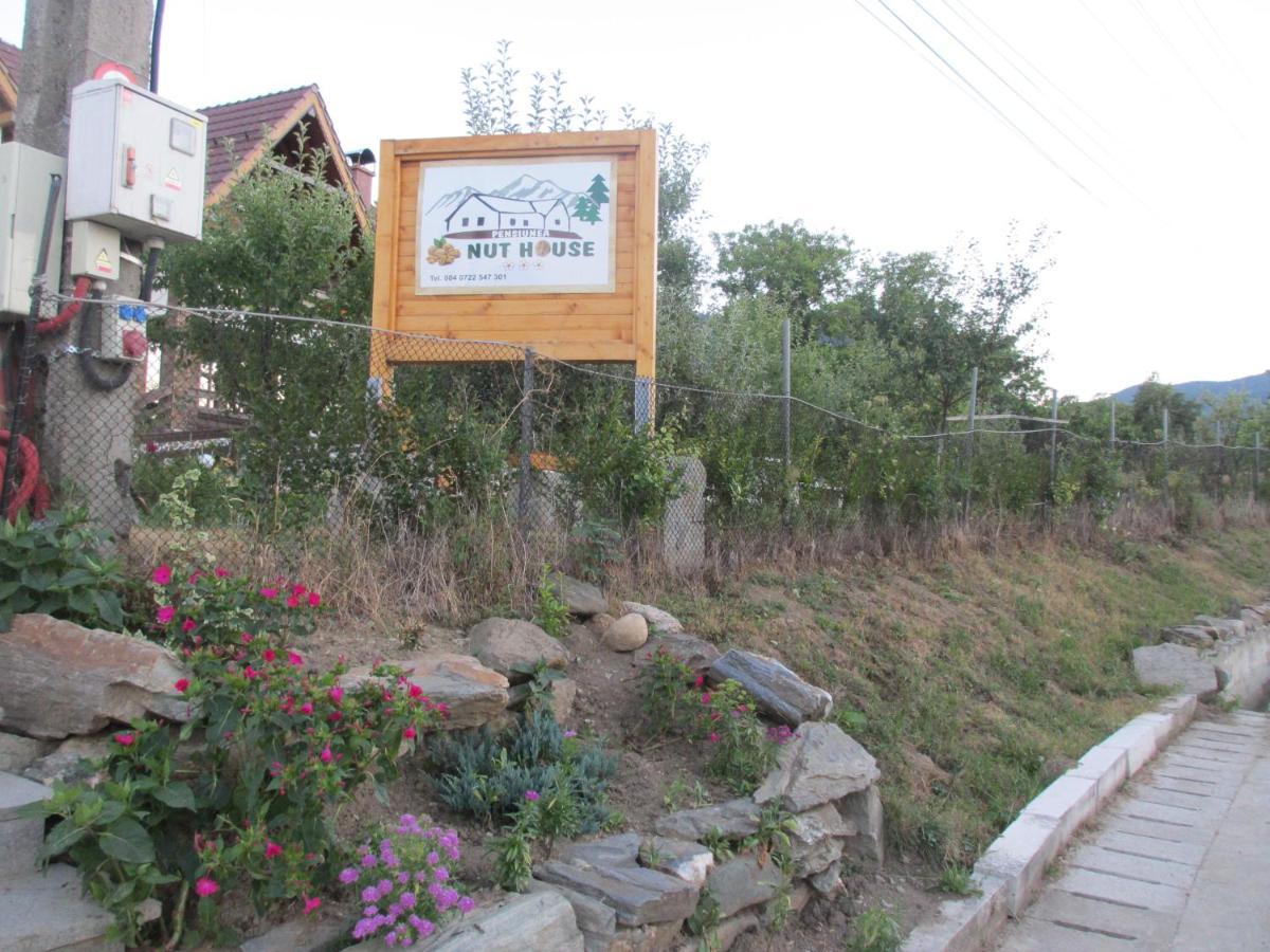 Nut House Retezat Otel Nucsoara  Dış mekan fotoğraf