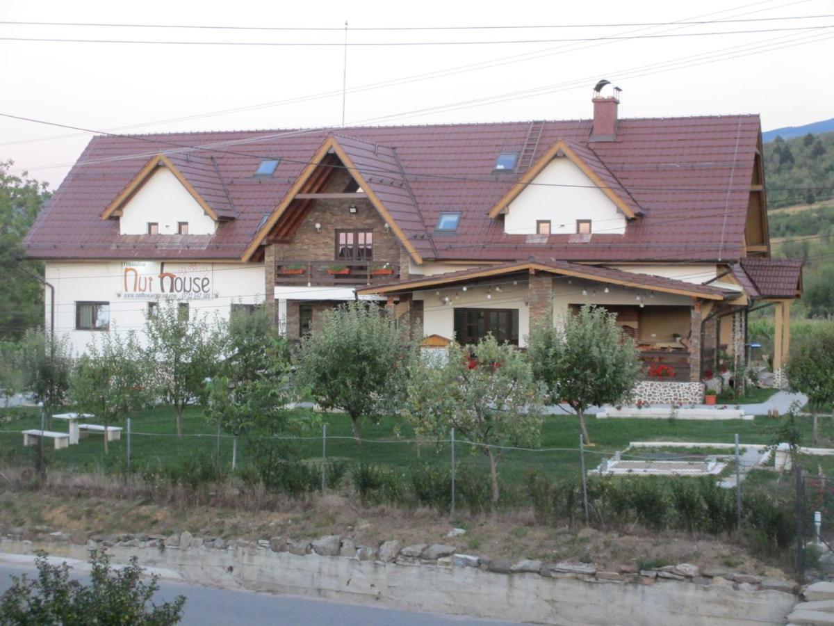 Nut House Retezat Otel Nucsoara  Dış mekan fotoğraf