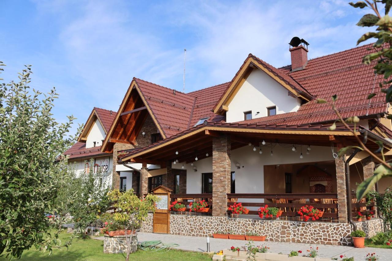 Nut House Retezat Otel Nucsoara  Dış mekan fotoğraf