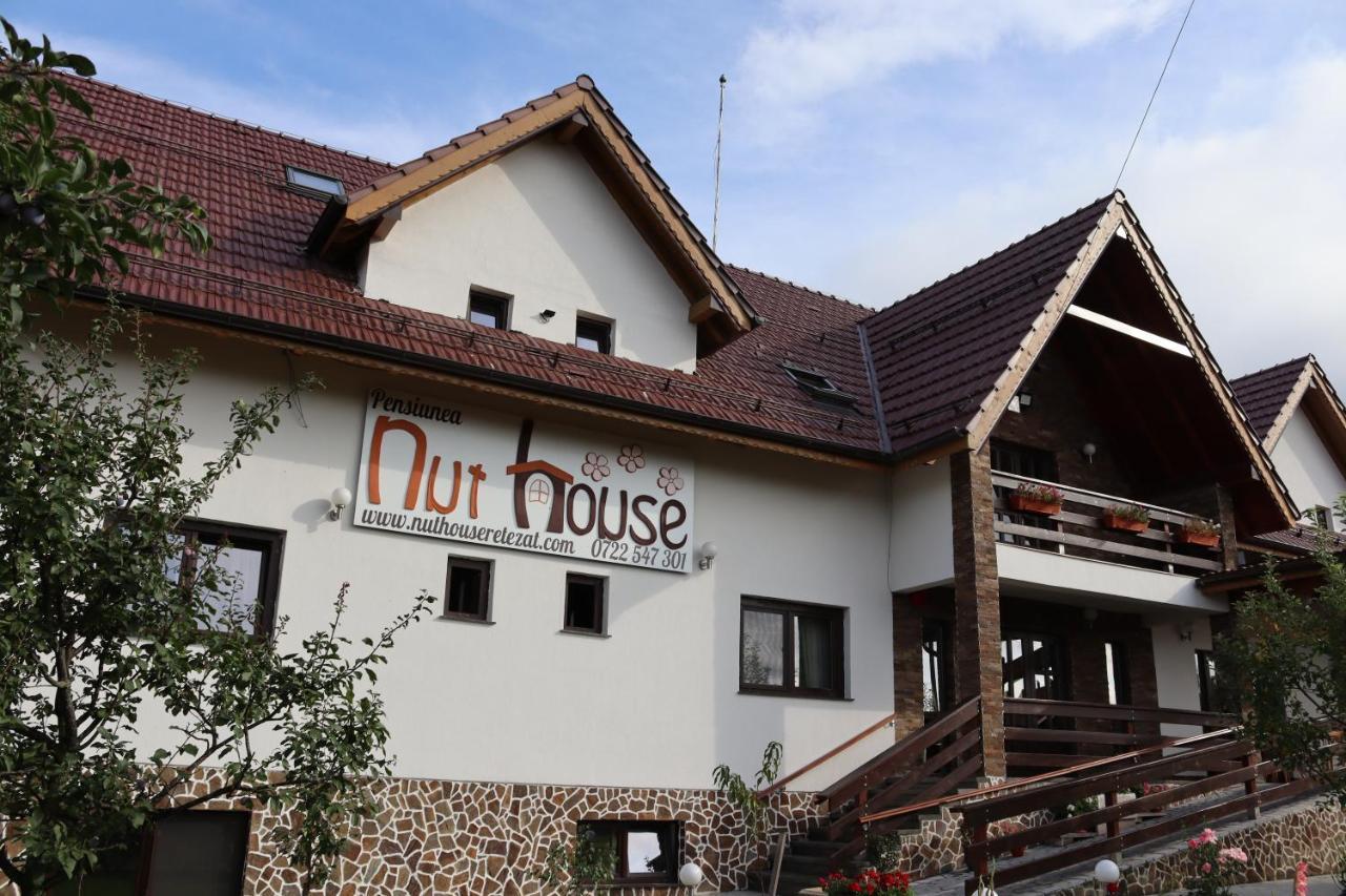 Nut House Retezat Otel Nucsoara  Dış mekan fotoğraf