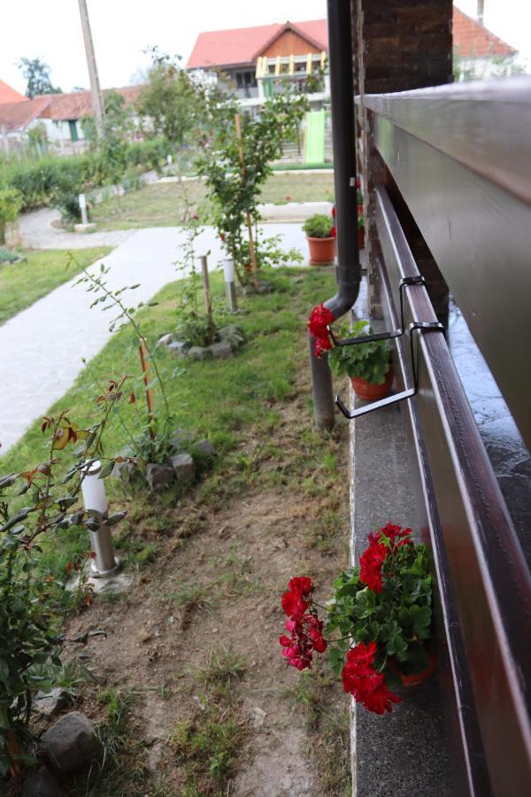 Nut House Retezat Otel Nucsoara  Dış mekan fotoğraf