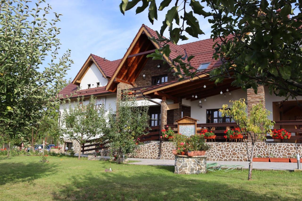 Nut House Retezat Otel Nucsoara  Dış mekan fotoğraf