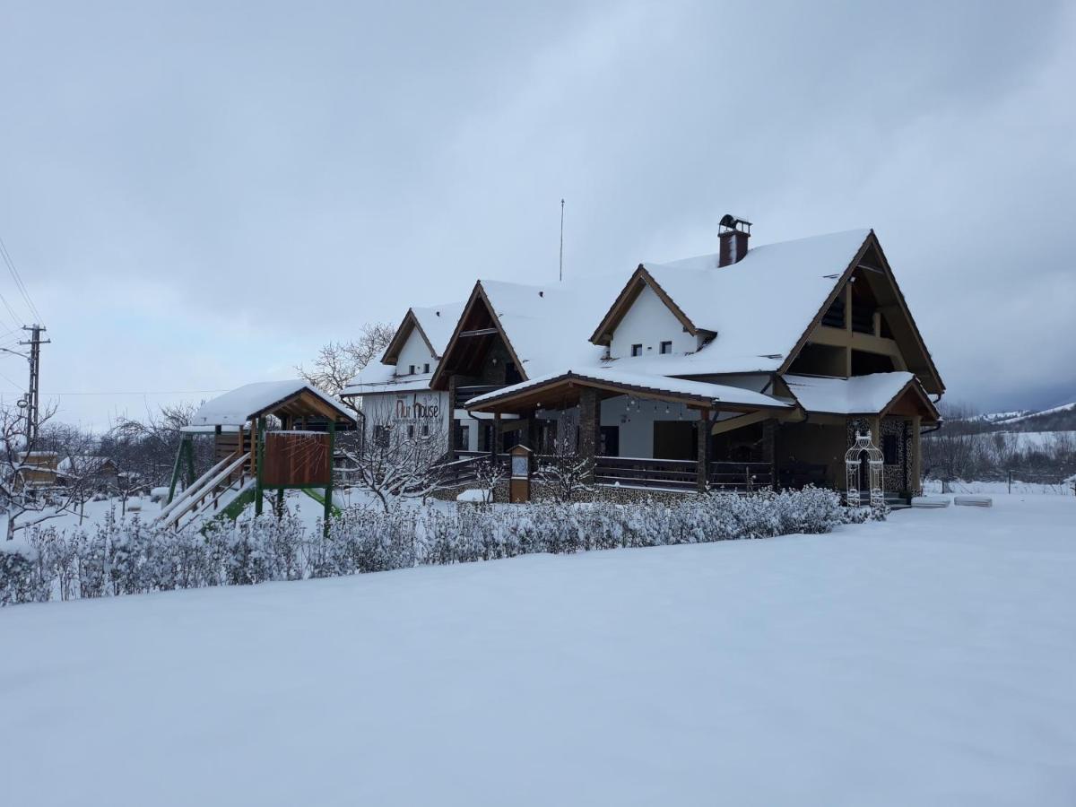 Nut House Retezat Otel Nucsoara  Dış mekan fotoğraf