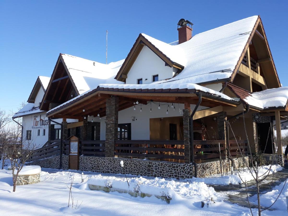 Nut House Retezat Otel Nucsoara  Dış mekan fotoğraf