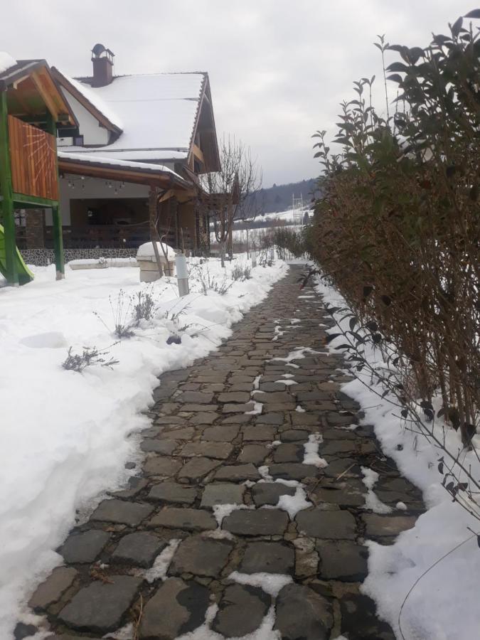 Nut House Retezat Otel Nucsoara  Dış mekan fotoğraf