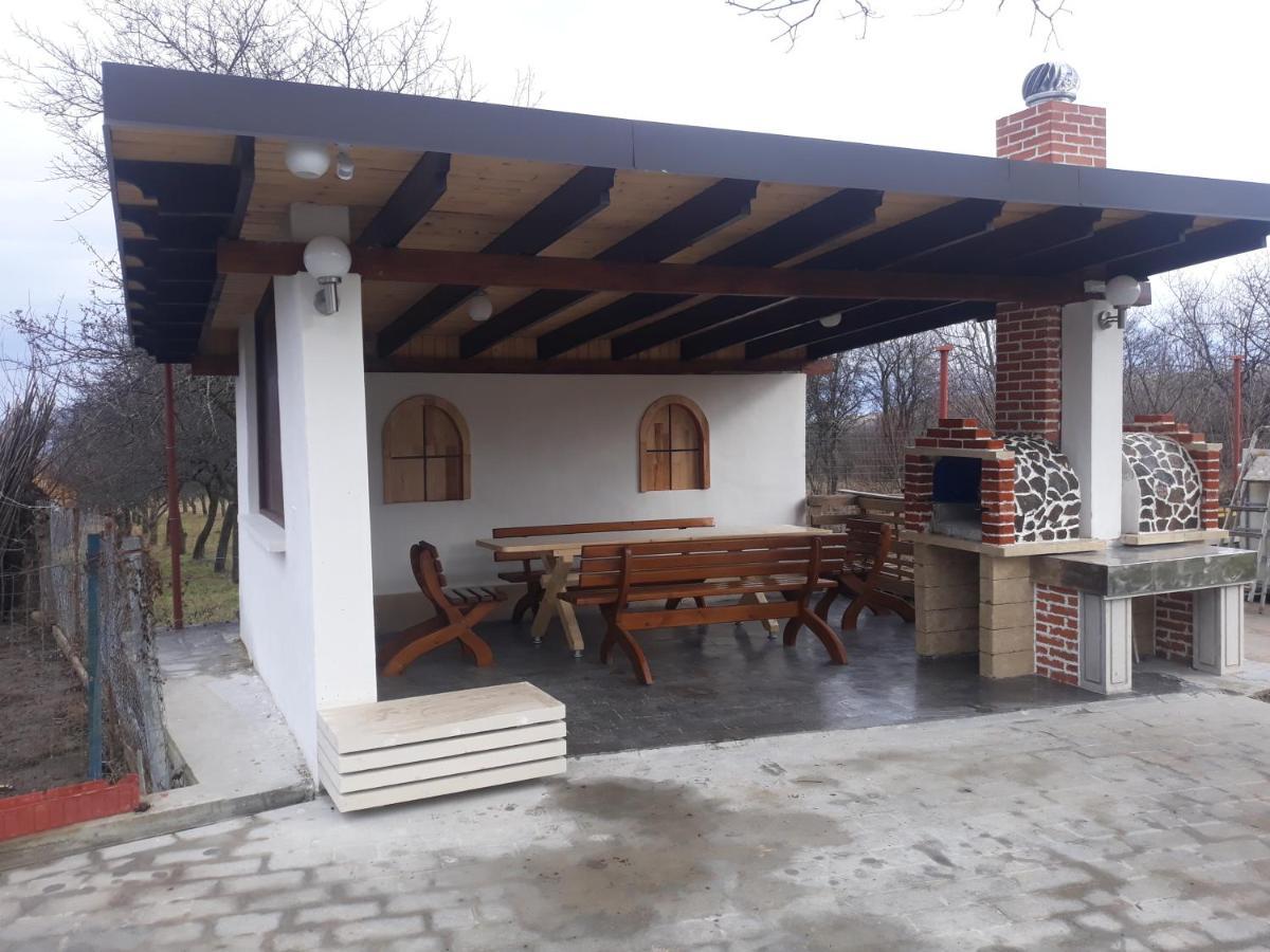 Nut House Retezat Otel Nucsoara  Dış mekan fotoğraf