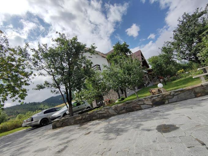 Nut House Retezat Otel Nucsoara  Dış mekan fotoğraf