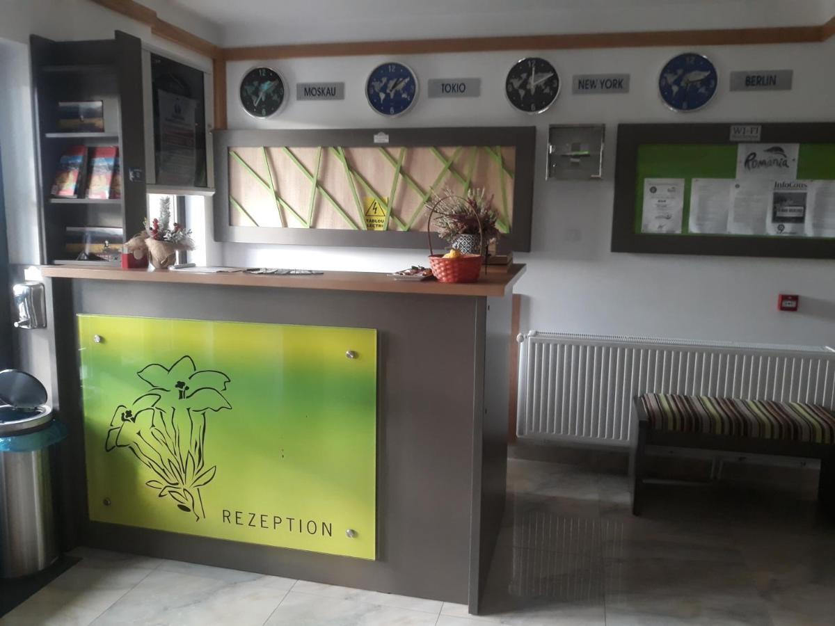 Nut House Retezat Otel Nucsoara  Dış mekan fotoğraf